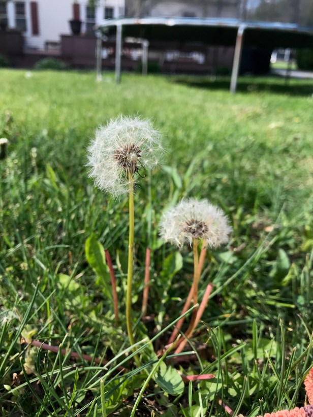 61023263314__9DDA89DF-D0D8-4EC4-9205-13D72E1437BD